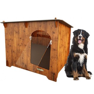 Canisă pentru câine de munte Bernese