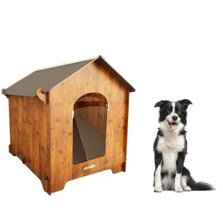 Canine pentru câini