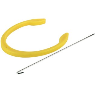 Inseminarea porcilor