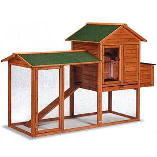 Cotețe de găini, curți