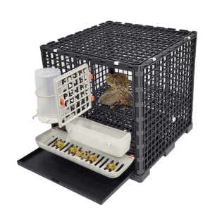 Cuști de plastic pentru prepelițe