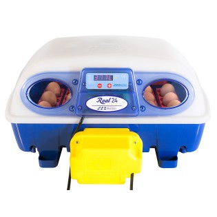 Incubatoare REALE