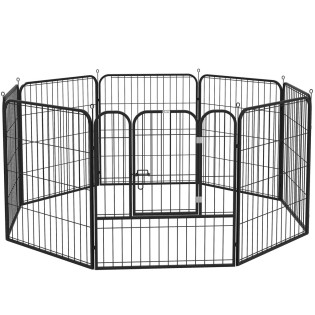 Adrese și canise pentru câini